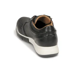 Dream in Green - ARTEMISIA