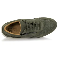 Dream in Green - ARTEMISIA