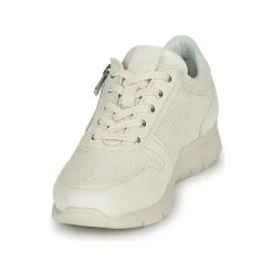 Dream in Green - ARTEMISIA