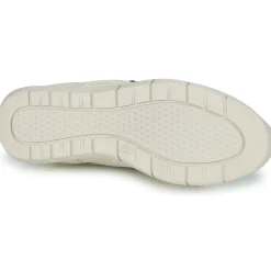 Dream in Green - ARTEMISIA