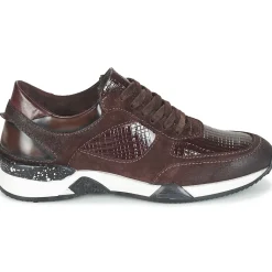 Dream in Green - FARRICA