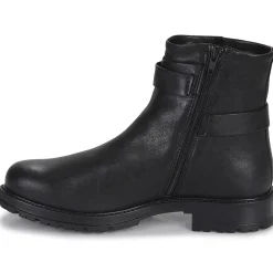 Dream in Green - FOMENTANA