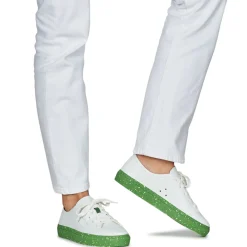 Dream in Green - JOBI