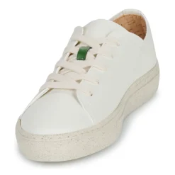 Dream in Green - JOBI