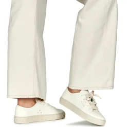 Dream in Green - JOBI