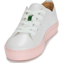 Dream in Green - JOBI