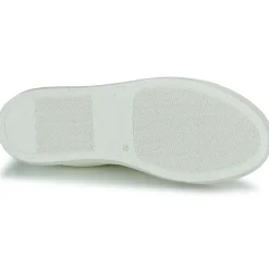 Dream in Green - JOBIA