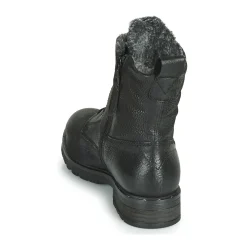 Dream in Green - LACIE