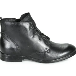 Dream in Green - LAMPEDI