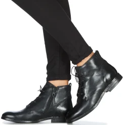 Dream in Green - LAMPEDI