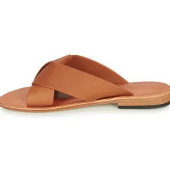 Dream in Green - MARNITO