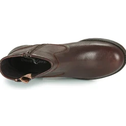 Dream in Green - NETISE