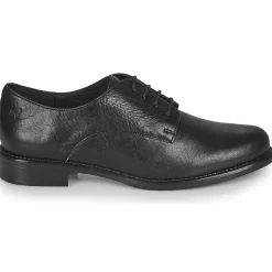 Dream in Green - NOUSSIN