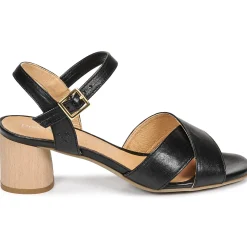 Dream in Green - ODAINE