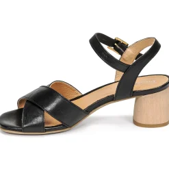 Dream in Green - ODAINE