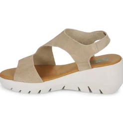 Dream in Green - OLENE