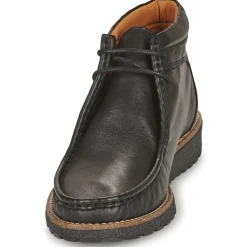 Dream in Green - OPHINA