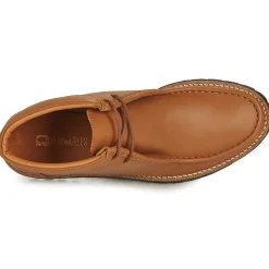 Dream in Green - OPHINA