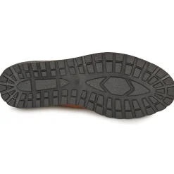 Dream in Green - OPHINA