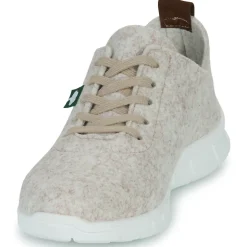 Dream in Green - SOTISE