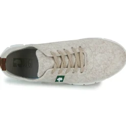 Dream in Green - SOTISE