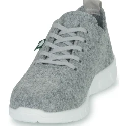 Dream in Green - SOTISE