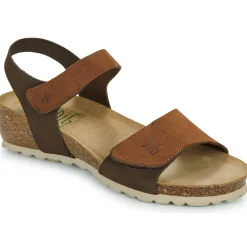 Dream in Green - ZAMINI