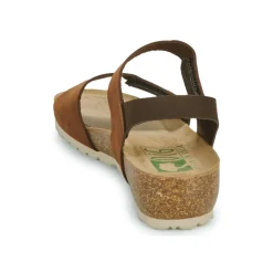 Dream in Green - ZAMINI