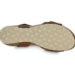 Dream in Green - ZAMINI