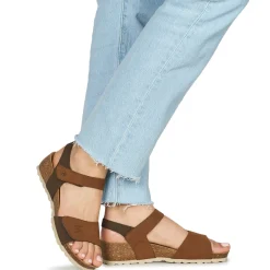 Dream in Green - ZAMINI