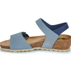 Dream in Green - ZAMINI