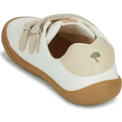 Dream in Green - ZAPHIRA