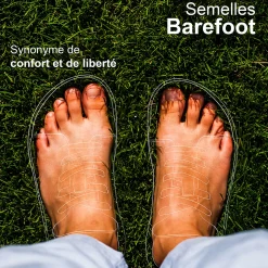 Dream in Green - ZAPHIRI