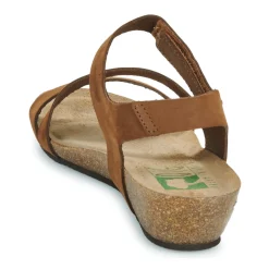 Dream in Green - ZIMINI