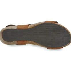 Dream in Green - ZIMINI