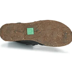 El Naturalista - ANGKOR N5470