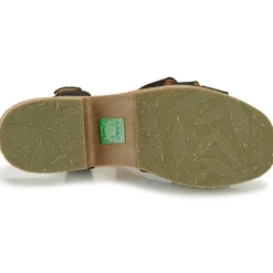 El Naturalista - ARBEQUINA