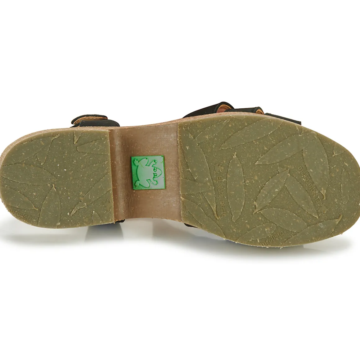 El Naturalista - ARBEQUINA