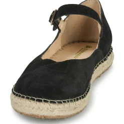 El Naturalista - CAMPOS N679