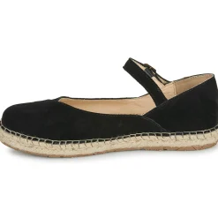 El Naturalista - CAMPOS N679