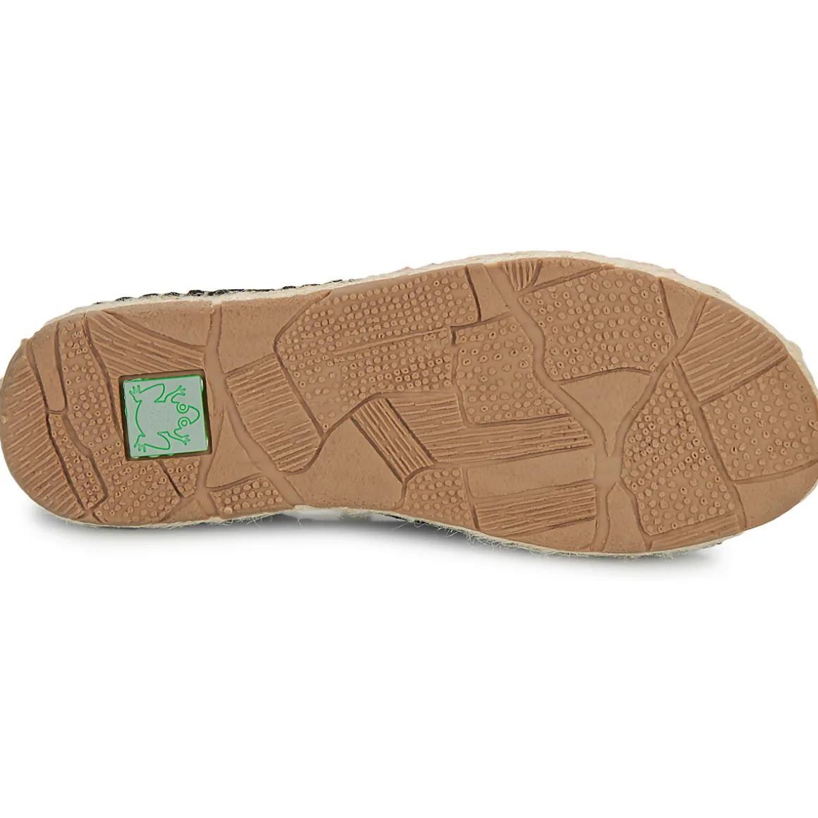 El Naturalista - CAMPOS N679