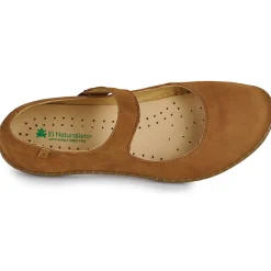 El Naturalista - CORAL N5301