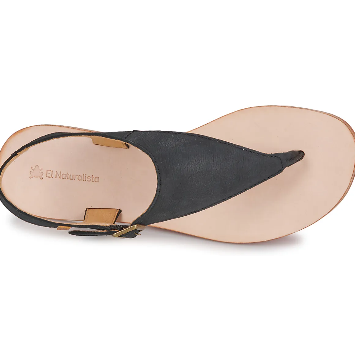 El Naturalista - CORATINA N5710