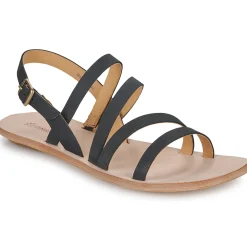 El Naturalista - CORATINA N5711