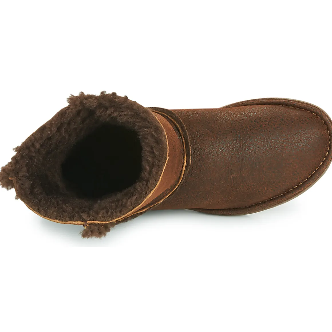 El Naturalista - LUX