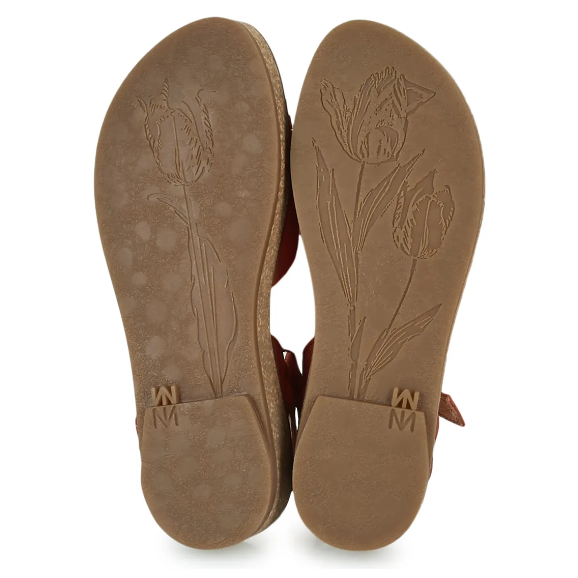 El Naturalista - N5590-CORAL