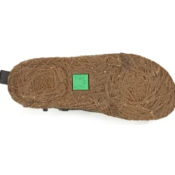 El Naturalista - NIDO ELLA N722