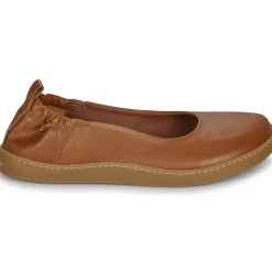 El Naturalista - ORIGEN N5912