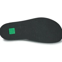 El Naturalista - ORIGEN N5912