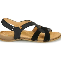 El Naturalista - PANGLAO N5819